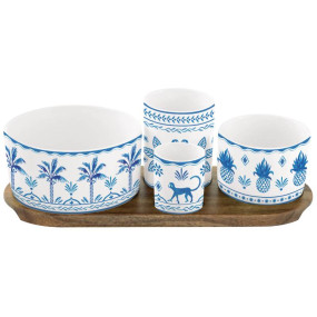 SET APERITIVOS Exotic Vibes